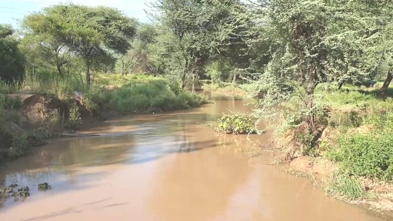 दशकों बाद नहर में आया पानी, पूर्व मंत्री बोले- हमारे प्रयास का नतीजा