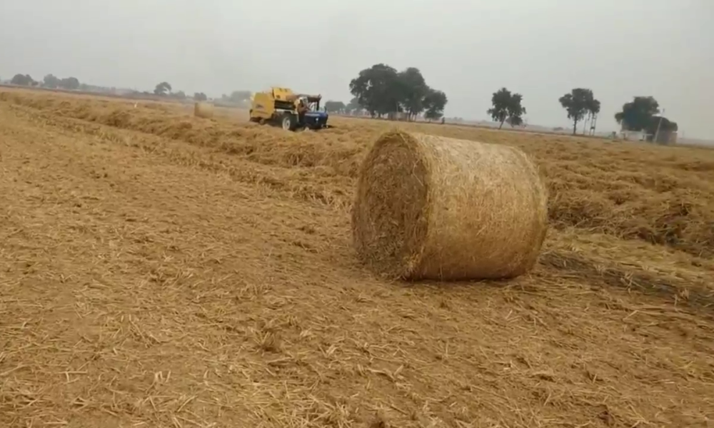 पराली जलाने के मामले की कृषि विभाग की टीम कर रही जांच, 3 दिन में 6 जगहों पर पराली  जलाने की घटना