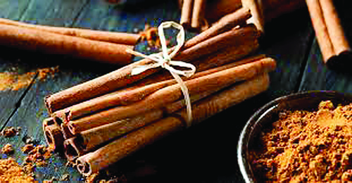 Cinnamon Benefits : हमारे जीवन मे दालचीनी, मसालों के रूप में