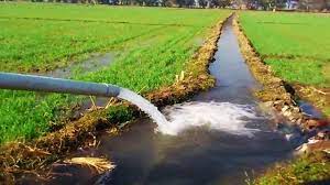 Electricity Connections for Irrigation: किसानों को सिंचाई के लिए जल्द दिए जाएंगे बिजली कनैक्शन: रणजीत सिंह