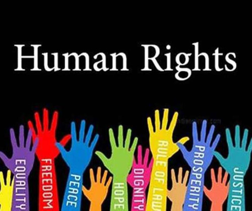 20 Best Human Rights Day 2021 Slogans