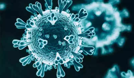 Coronavirus Disease विश्व में 36.55 लाख नए केस