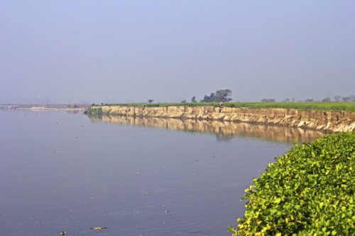 Yamuna water in Delhi: दिल्ली में यमुना का पानी पीने काबिल नहीं, सप्लाई नहीं किया जा सकता, दिल्ली जलबोर्ड की दिल्ली हाई कोर्ट में पिटीशन