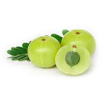 Health Benefits of Eating Raw Amla