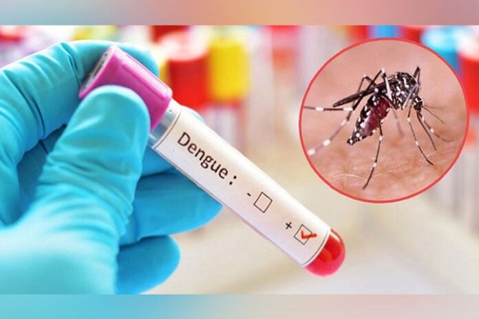 Dengue Cases