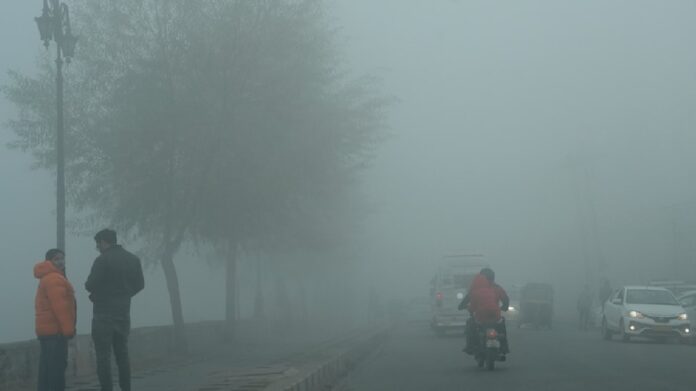 Haryana 32 Cities Dense Fog