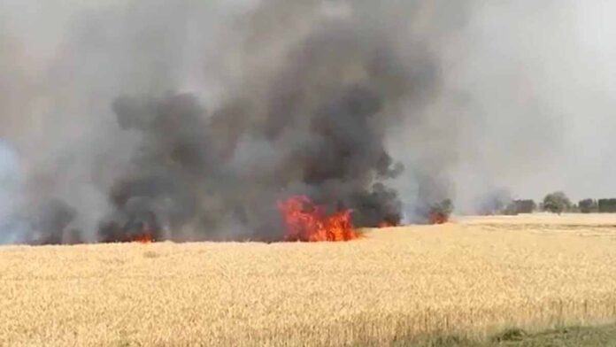 Wheat Crop Caught Fire