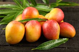 Mango Benefits : आम हमारे लिए एक औषधि भी