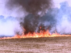 Fire In Fields On Panipat Highway 