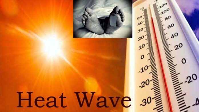 Haryana Heat Wave