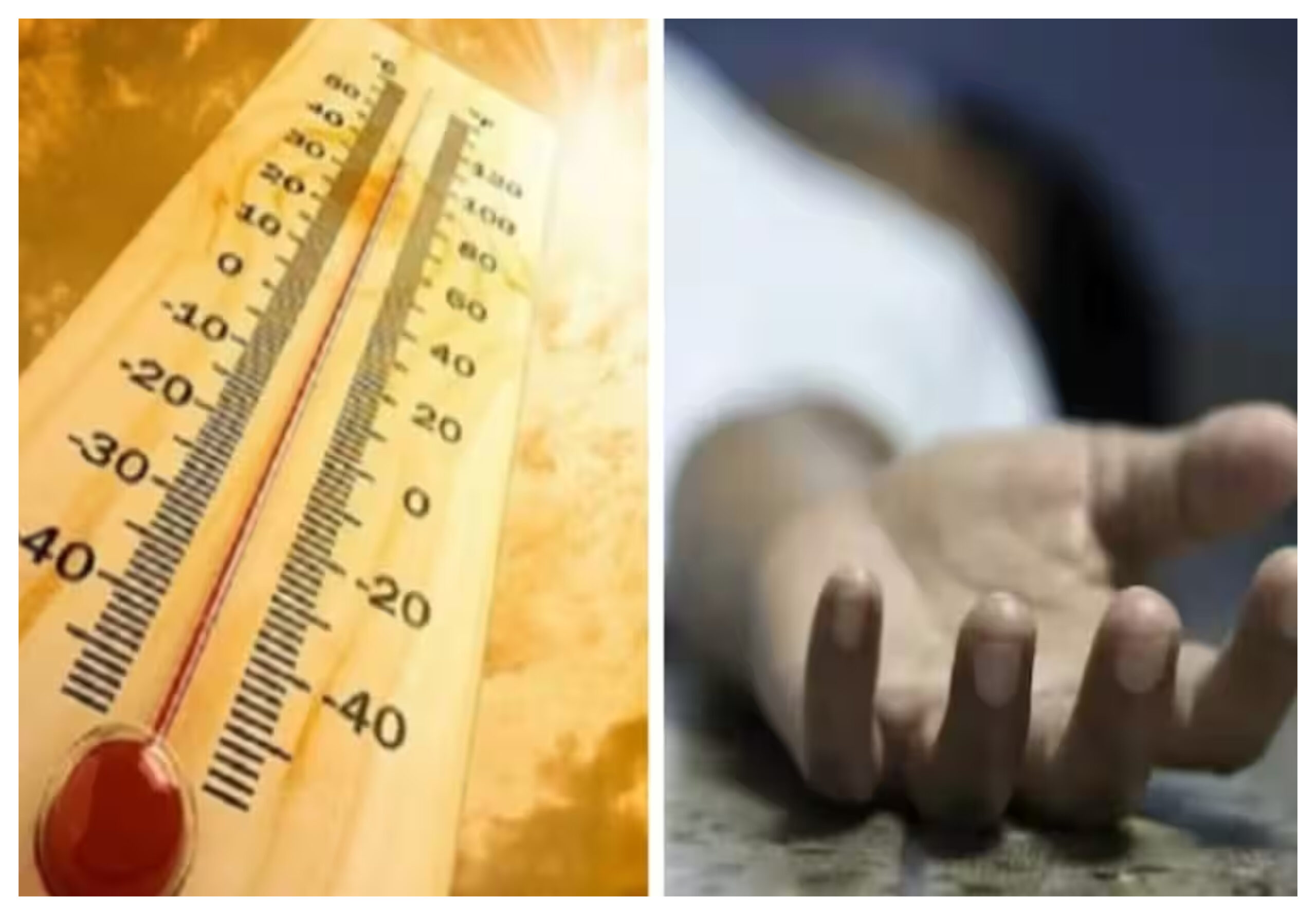 A Man Died To Extreme Heat : भीषण गर्मी के चलते फतेहाबाद में व्यक्ति की मौत 