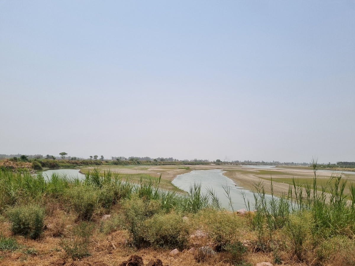 Yamuna River : यमुना में पत्थरों की ठोकरें ना लगने से पानीपत के पांच गांवों को डूबने का खतरा