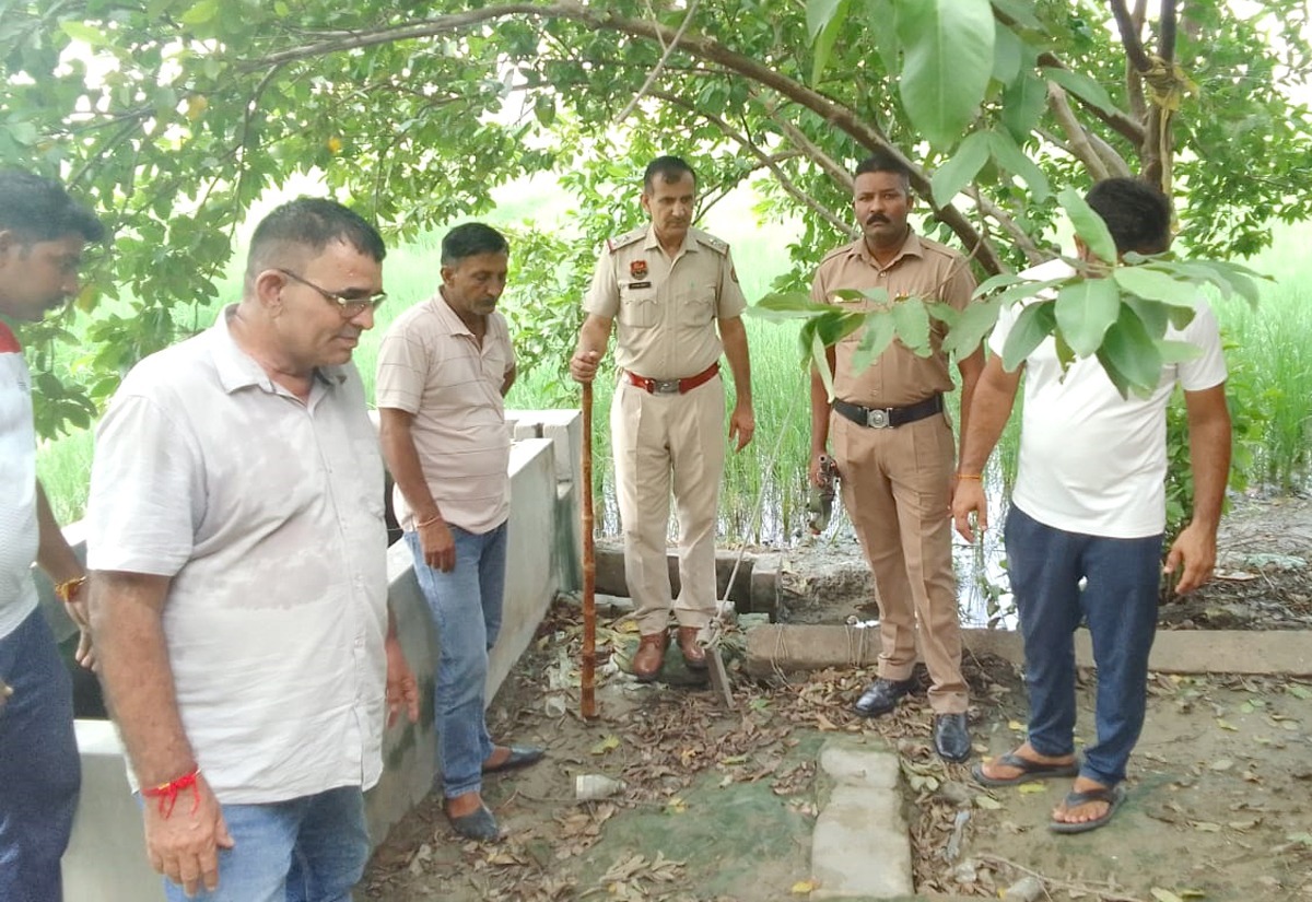 Leopard seen in Jind : डिडवाड़ा में दिखा तेंदुआ-वीडियो वायरल, गांव में मचा हड़कंप