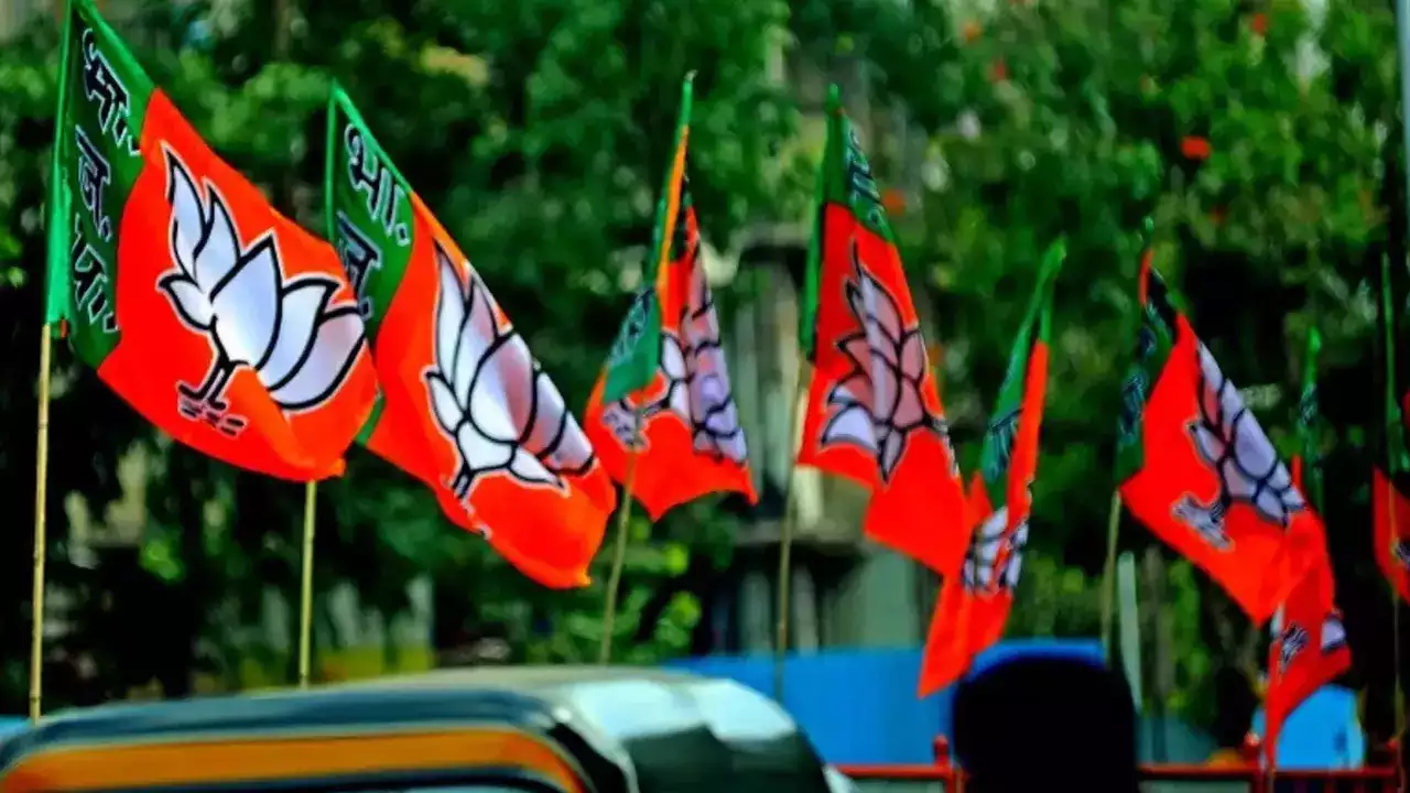 BJP Candidates Nomination Dates : हरियाणा में दिग्गज नेताओं की मौजूदगी में नामांकन करेंगे भाजपा के प्रत्याशी