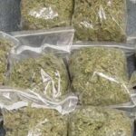 Accused Arrested With Ganja