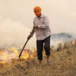 Haryana Stubble Burning