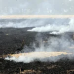 Haryana Air Pollution