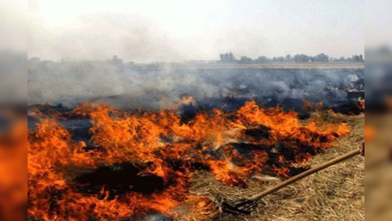 Stubble Burning: प्रशासन बरतेगी किसानों पर सख्ती, पराली जलाने पर होगा जुर्माना के आलावा ऐसा एक्शन