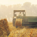 Stubble Management