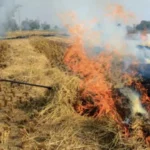 haryana farmers