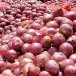 Onion Price Hike