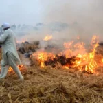 Stubble Burning (1)