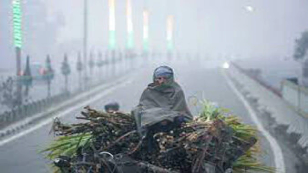 Haryana Weather Update: ठंड ने हरियाणा में दी दस्तक, तापमान में आ रही लगातार गिरावट, जानिए आज का अपडेट