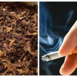 Ciagrette And Tobacco