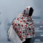 Haryana Severe Cold