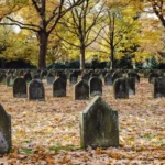 graveyard