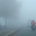 Dence Fog In Haryana