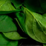 paan leaves benifits